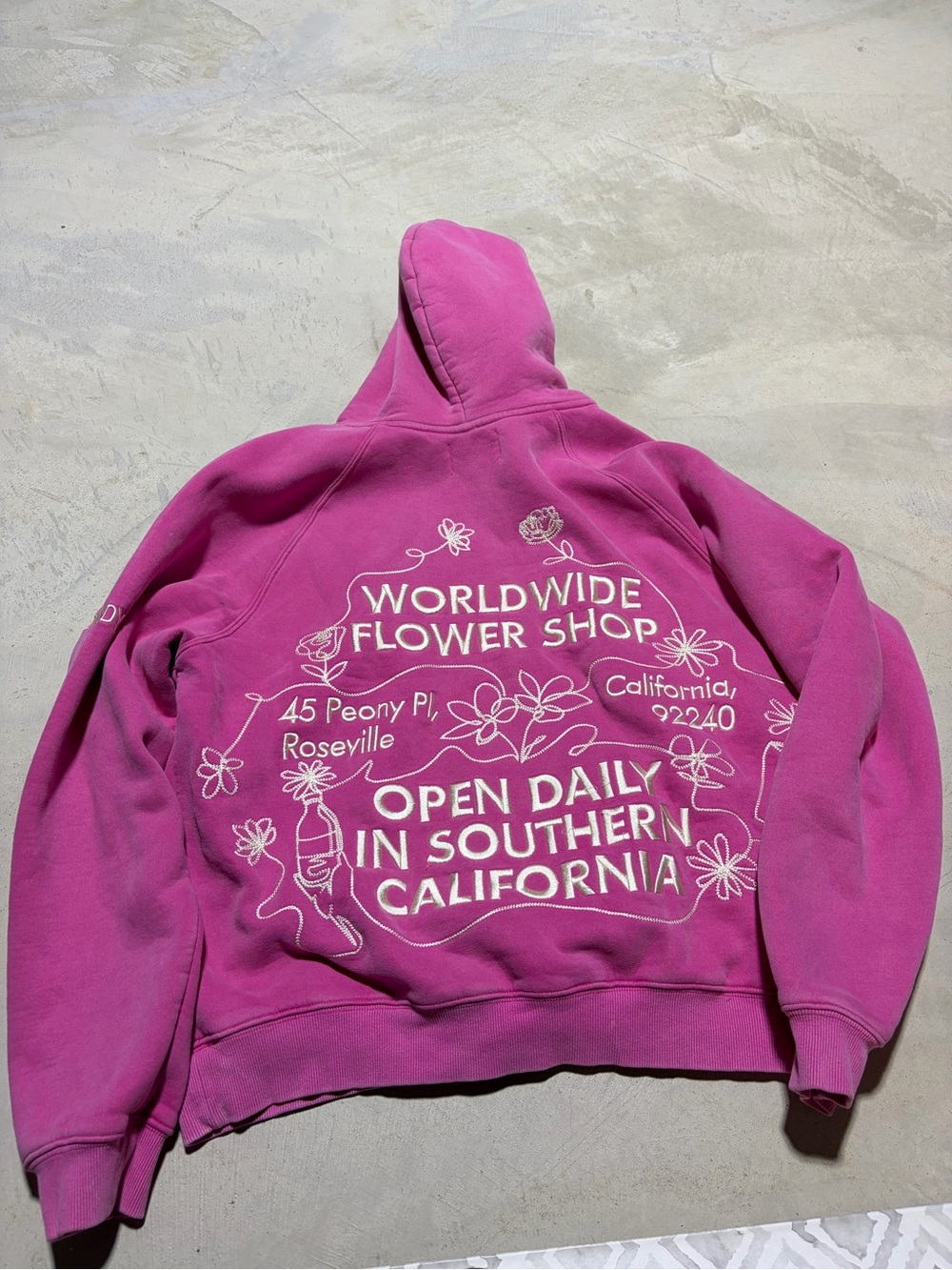 Dandy worldwide flower shop pink Graphic Hoodie